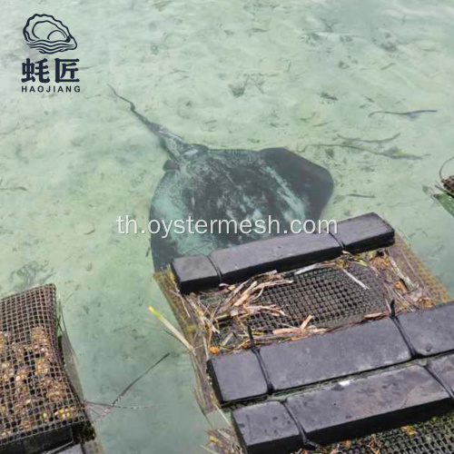 OEM ถุงตาข่ายหอยนางรมโฟมสำหรับการเพาะเลี้ยงสัตว์น้ำ